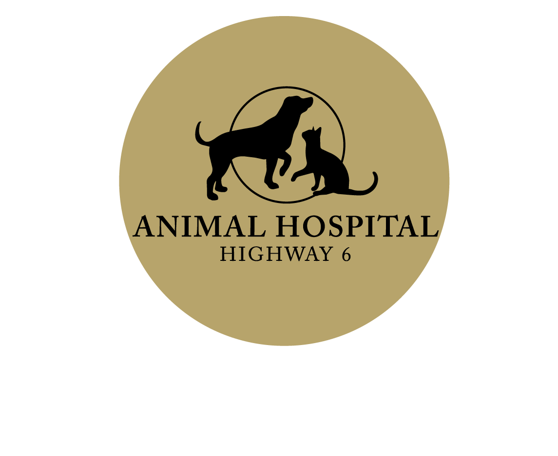 Vetcove Home Delivery - Shop out online store