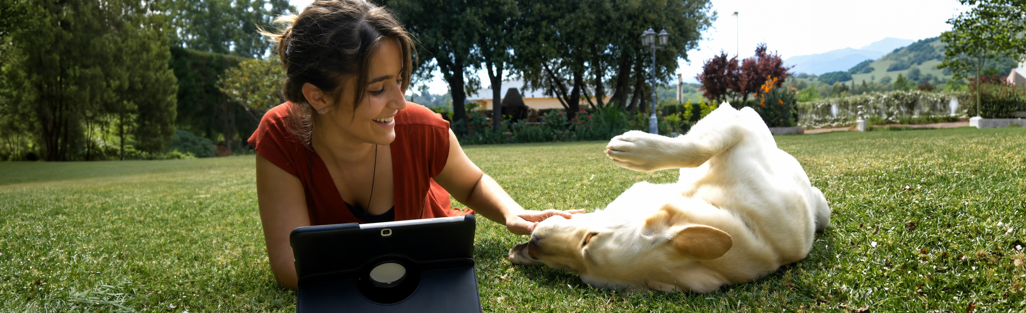 Woman and dog looking at computer on grass in park