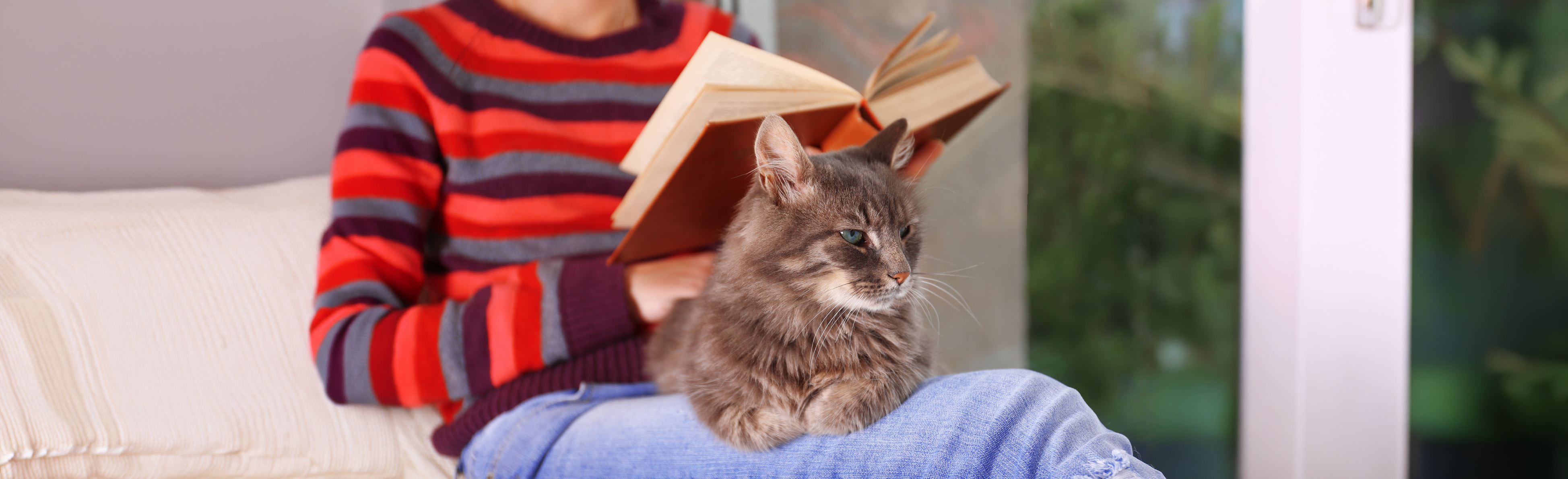 Cat sitting on owners lap as they read a book