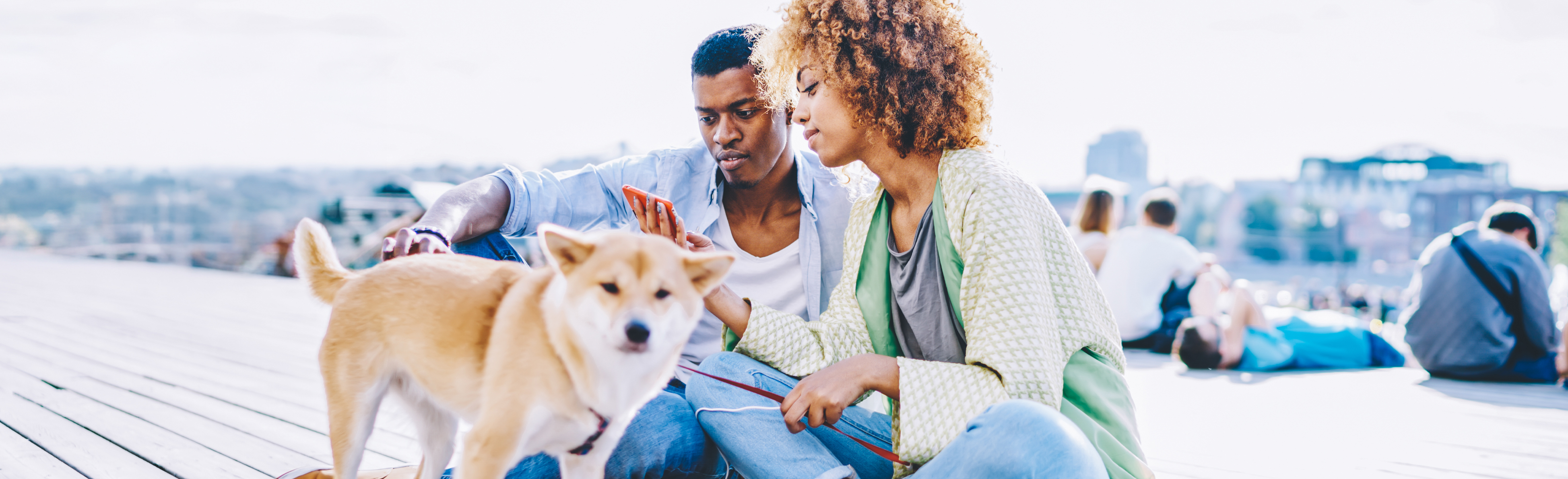 Couple looking at their phone with their dog on a pier