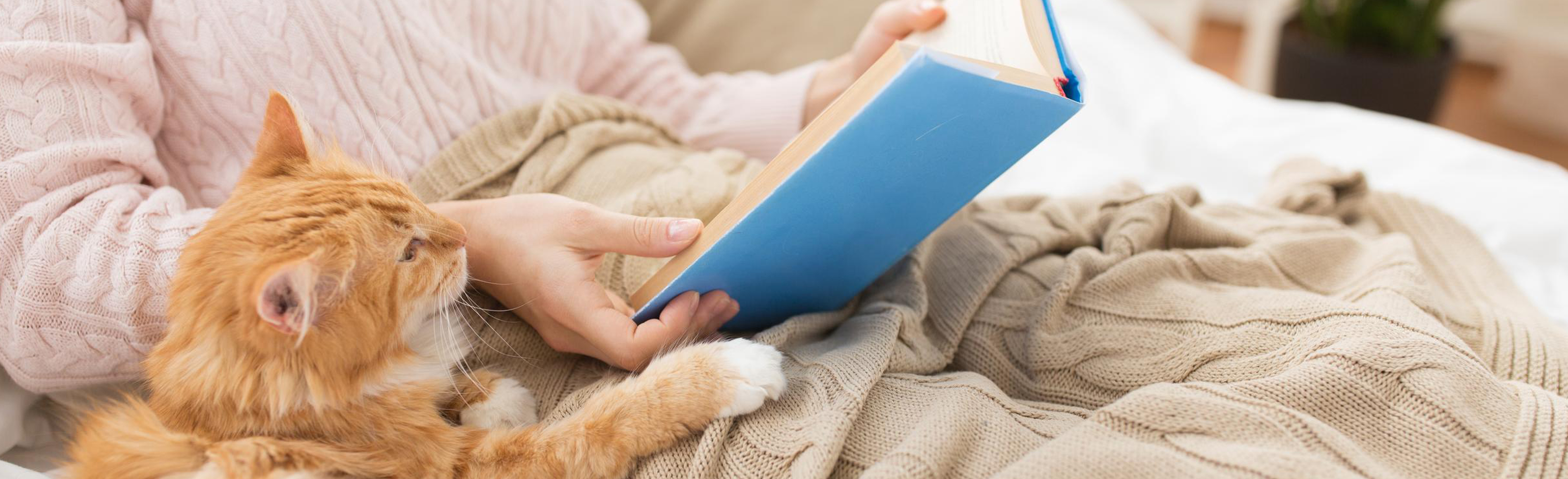 Cat and owner reading a book
