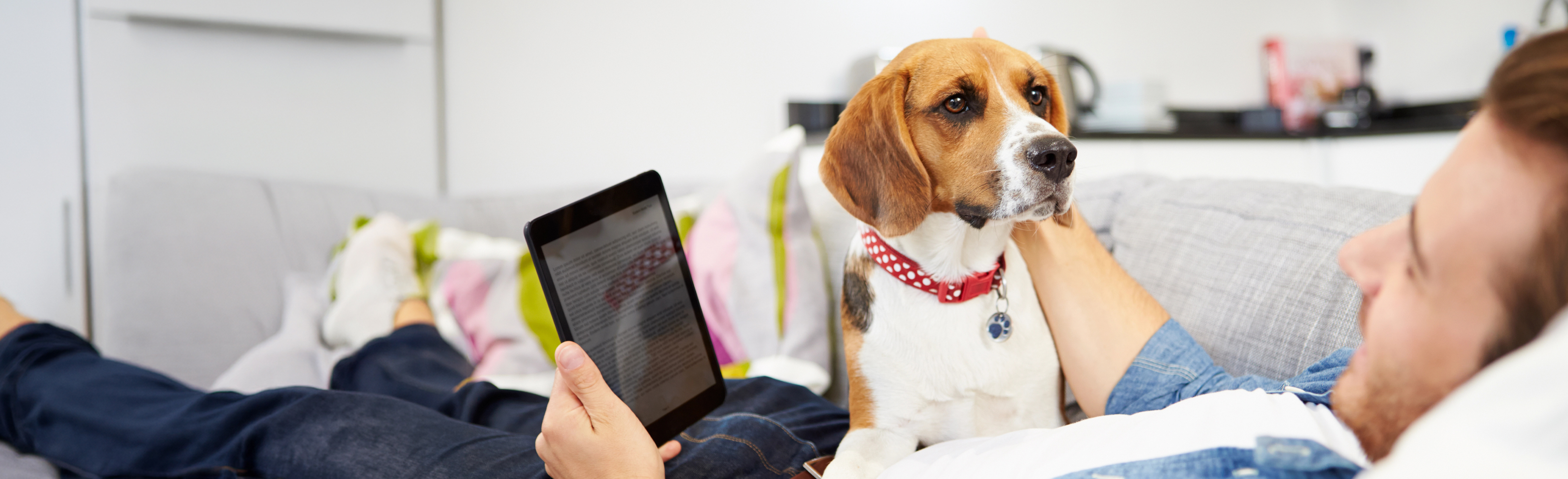 Dog and owner on a couch looking at tablet
