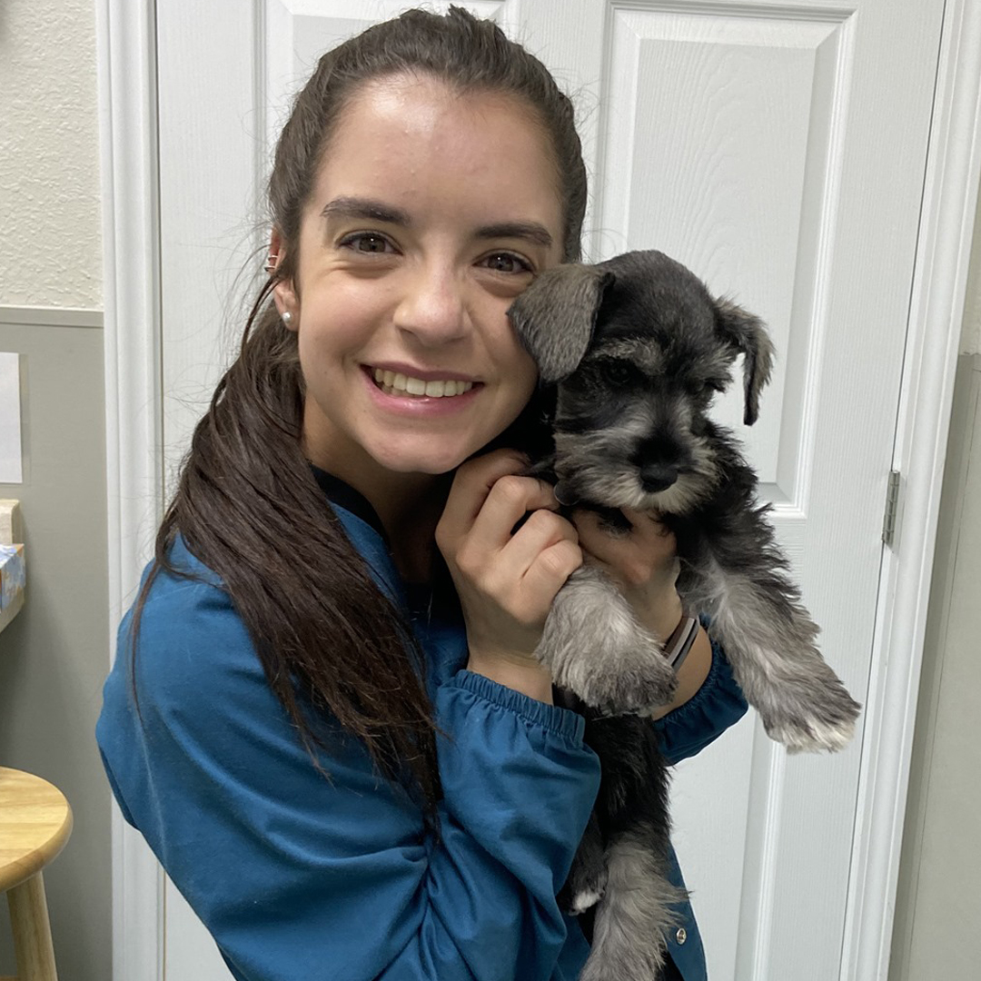 Staff member cuddling with puppy