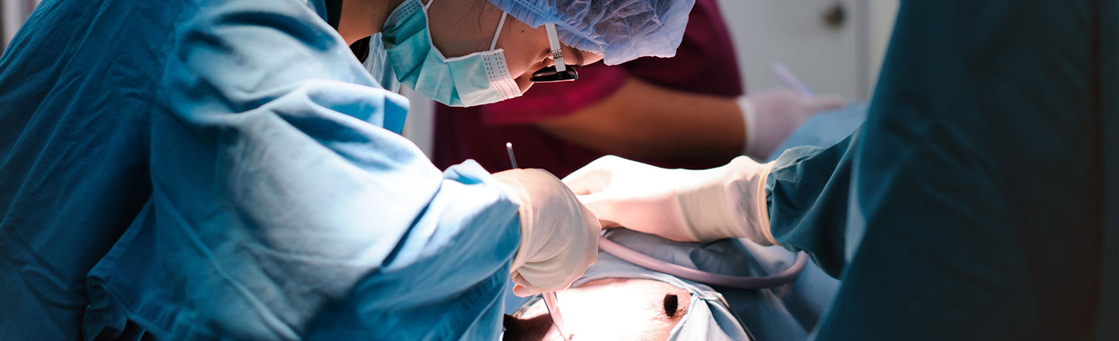 Veterinarians performing surgery