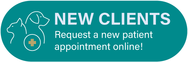 New Clients - Request a New Patient Appointment Online