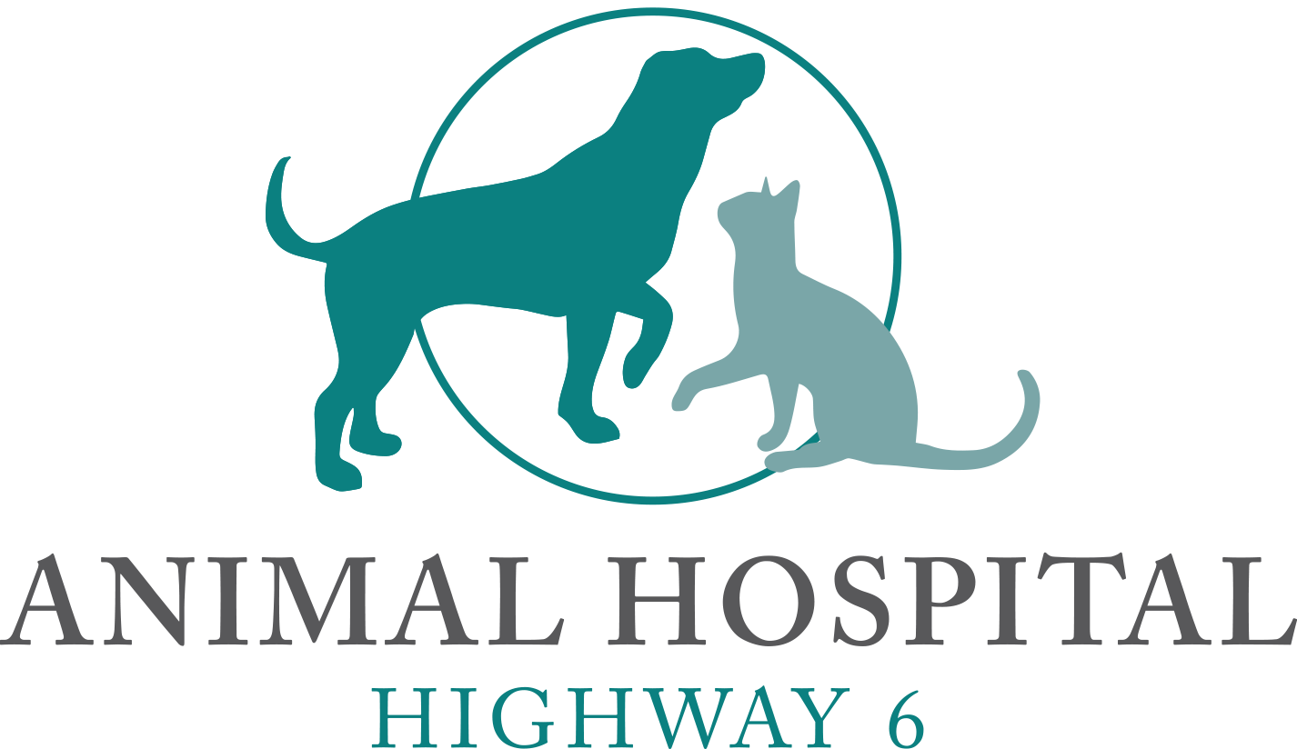 Animal Hospital Highway 6